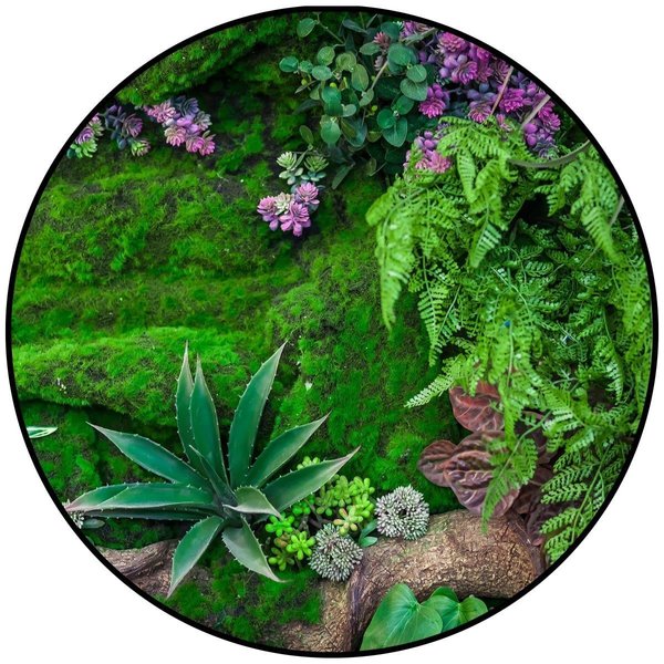 Wall-To-Wall 6 ft. Round Real Jungle Floor Rug WA1708091